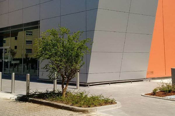 giganterozzano016e60cb71-0a69-daae-add0-0443d59f524203D61058-CBA5-78FC-452D-5B7DE940223B.jpg